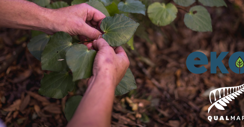 Ekos Leaf Header