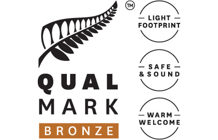 Bronze Sustainable Tourism Business Award icon